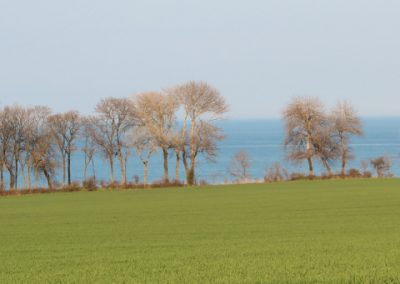 Fehmarn Blick über Feld