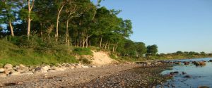 Fehmarn Urlaub Steilküste
